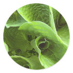 Greens stickers