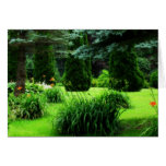 Greenscape Cards