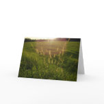 greeting card, blank