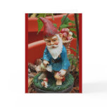 greeting card - garden gnome