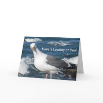 Greeting Card:  Here's Looking at You Gull