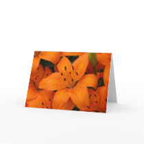 greeting card inside blank