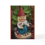 greeting card - lady garden gnome
