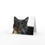 Greeting Card: Lilly Yawning