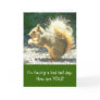GREETING CARD,PHOTOG, SQUIRREL,HUMOR, HOW ARE YOU?