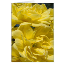 Greeting Card with Yellow Banksia Roses