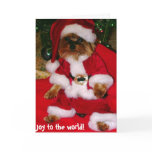 Greeting Cards
