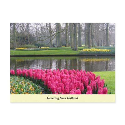 Greeting from Holland Postcard by Chandm