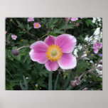 Greeting posters