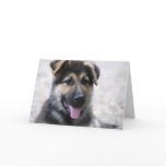 Greetings Card