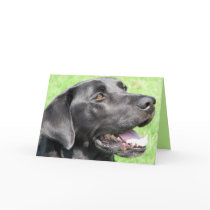 Greetings Greeting Cards