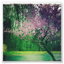 greetings card photograph
