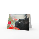 Greetings Card - Watching