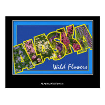 Greetings from Alaska Vintage Postcard