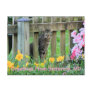 Greetings From Betterton, MD Cat Photography Post Card