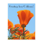 Greetings from California! Postcards