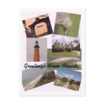 Greetings From Florida Postcard