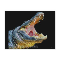 Greetings from Florida Postcards