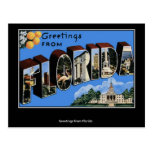 Greetings from Florida Postcard