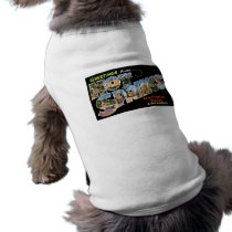 Greetings from Hot Springs! Pet T Shirt