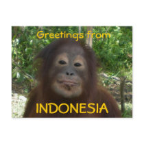 Greetings from INDONESIA Photo Postcards