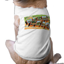 Greetings from Miami Beach, Florida! Dog Clothes