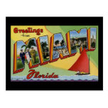 Greetings from Miami Florida Postcard