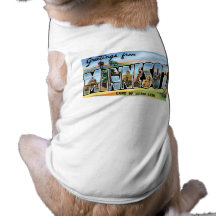 Greetings from Minnesota! Dog Clothing