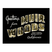 Greetings from Muir Woods National Monument postcards