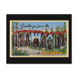 Greetings from the Redwoods of California postcards