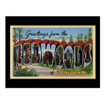 Greetings from the Redwoods of California postcards