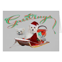 Greetings Maltese Christmas cards