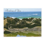 Greetings_ Postcard