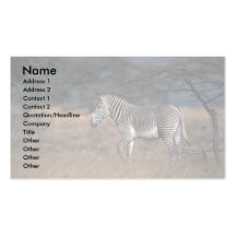 Grevy'a Zebra Business Cards