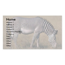 Grevy's Zebra Business Card Templates