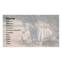 Grevy's Zebra Business Cards