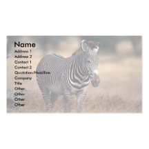 Grevy's Zebra Business Cards
