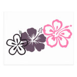 grey and pink hibiscus Hawaiian  theme Post Cards