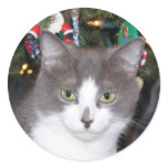 Grey and white Christmas kitty stickers