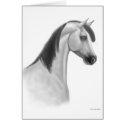 Grey Arabian Horse Card