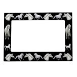 Grey Arabian Horse Magnetic Frame