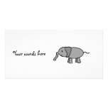 Grey baby elephant