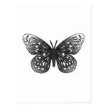 Grey Butterfly Postcard