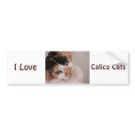 Grey Cat bumper stickers
