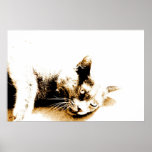 Grey cat poster posters