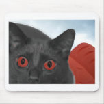 Grey Cat With Orange eyes Blended picture Mouse Pads
