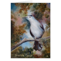 Grey Catbird Blank Card