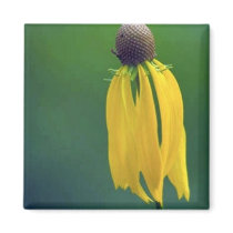 Grey Coneflower Fridge Magnet
