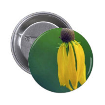 Grey Coneflower Pins