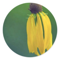 Grey Coneflower Sticker
